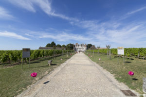 mariage-clermont-de-beauregard-chateau-monbazillac-sebastien-huruguen-photographe-mariage-bordeaux-les-mariages-de-mademoiselle-L-41